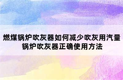 燃煤锅炉吹灰器如何减少吹灰用汽量 锅炉吹灰器正确使用方法